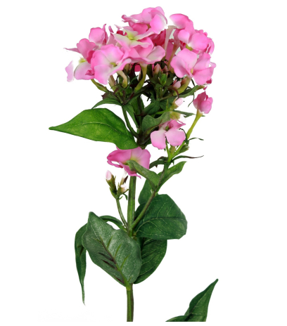 Phlox artificiel rose