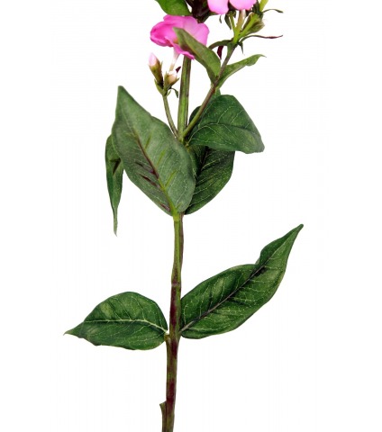 Phlox artificiel rose