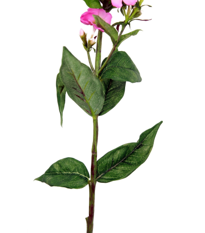 Phlox artificiel rose
