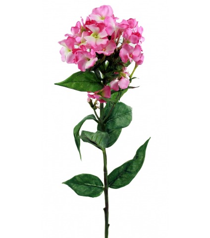 Phlox artificiel rose