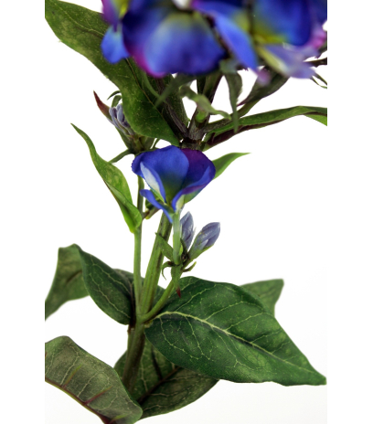 Phlox artificiel 