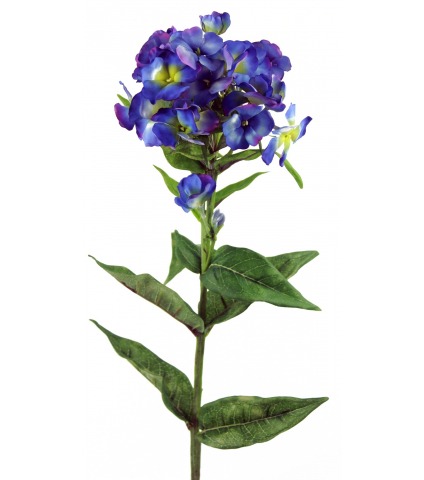 Phlox artificiel 
