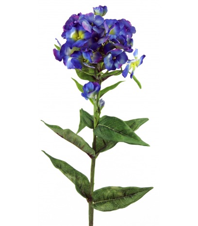 Phlox artificiel 