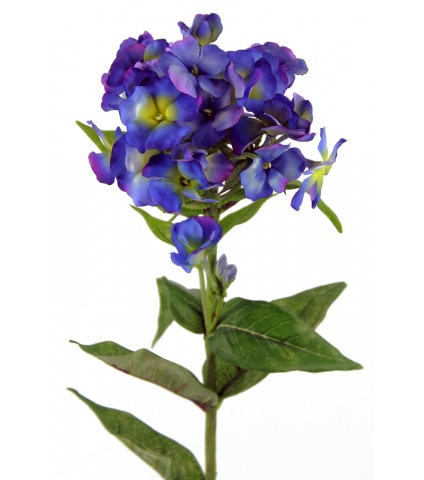 Phlox artificiel 