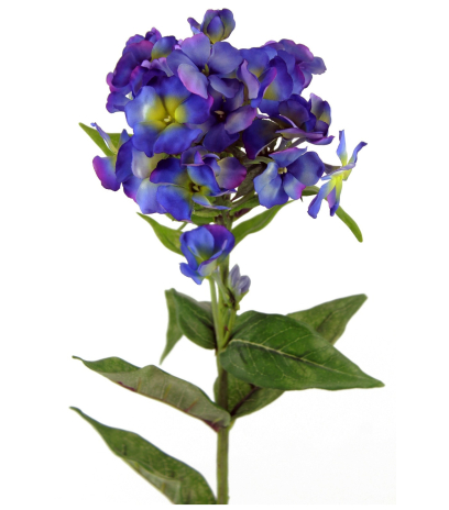 Phlox artificiel 