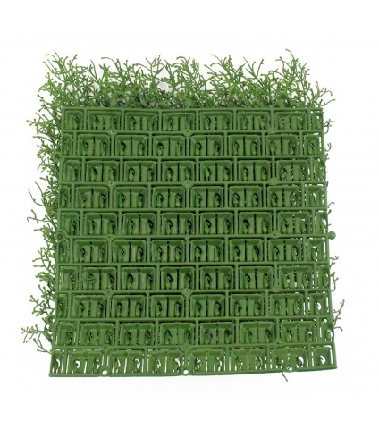 Plaque artificielle calocephalus