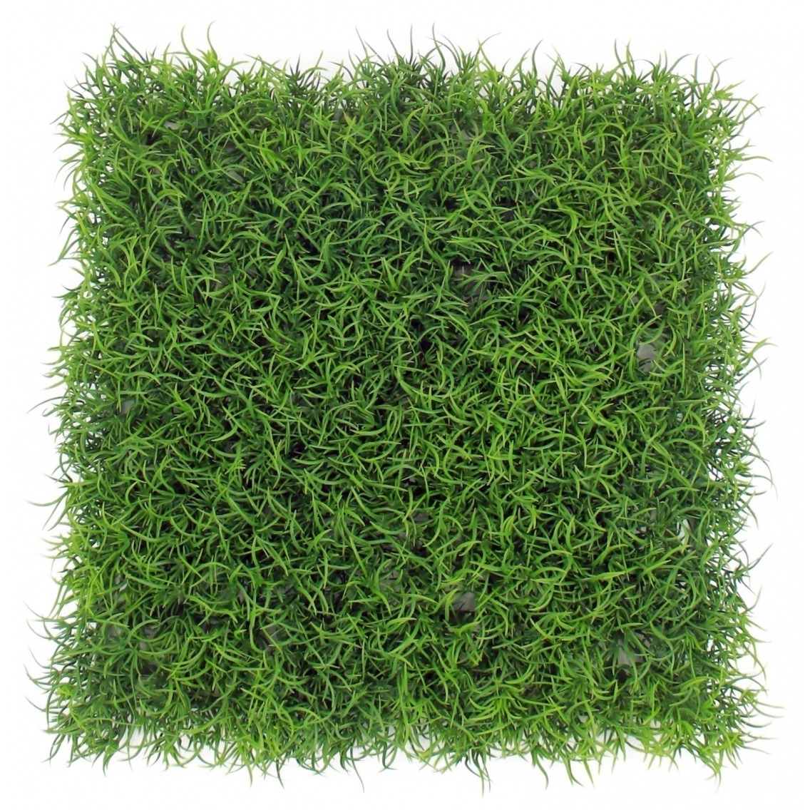 Gazon fin artificiel en plaque 25 cm Plaques pour mur végétal