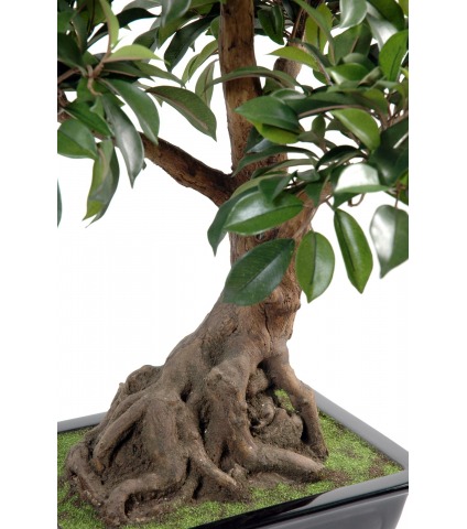 Bonsai artificiel ficus