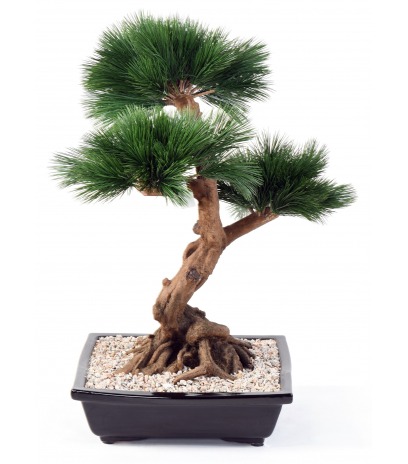 Bonsaï pin japonais artificiel