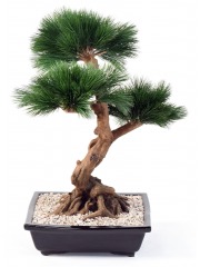 Bonsaï pin japonais artificiel