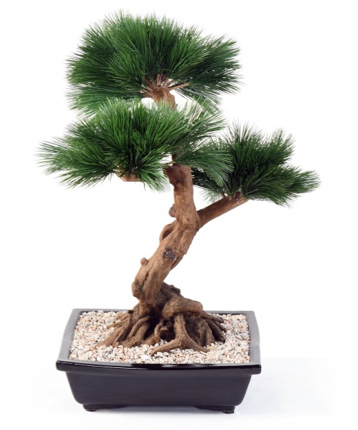 Bonsaï pin japonais artificiel