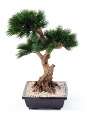 Bonsaï pin japonais artificiel