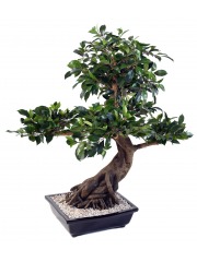 Bonsaï artificiel cinq têtes