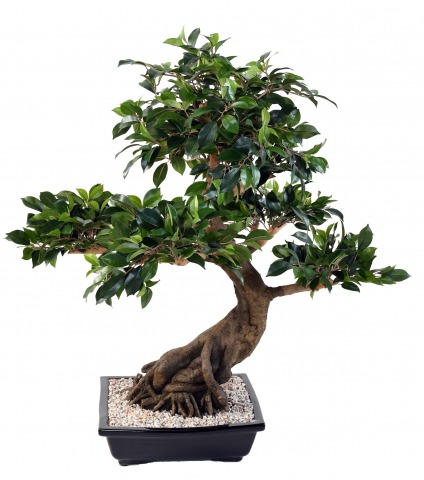 Bonsaï artificiel cinq têtes