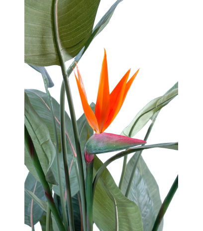 Grand strelitzia artificiel