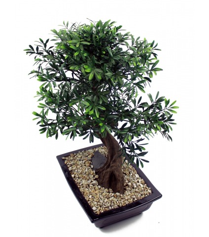 	Bonsaï artificiel salix