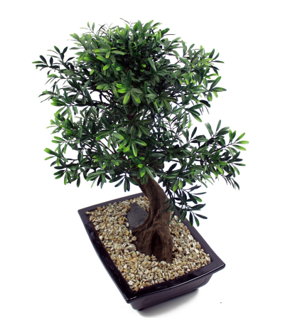 	Bonsaï artificiel salix