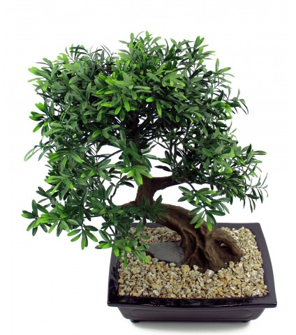 	Bonsaï artificiel salix