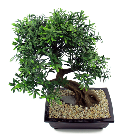 	Bonsaï artificiel salix