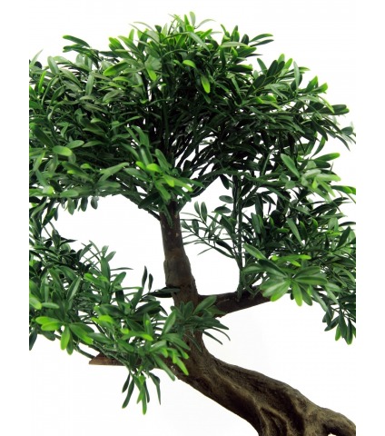 	Bonsaï artificiel salix