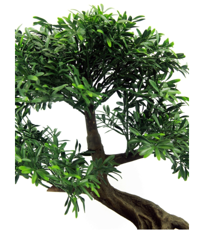 	Bonsaï artificiel salix
