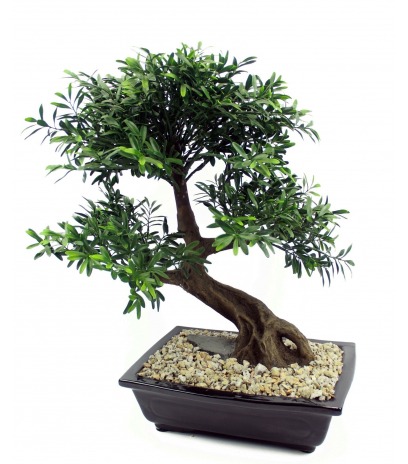 	Bonsaï artificiel salix