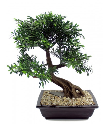 	Bonsaï artificiel salix