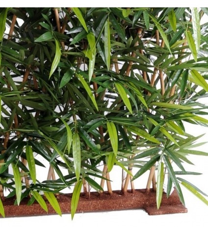 Fausse haie de bambous