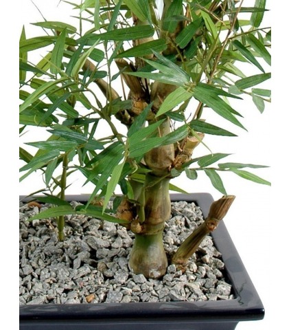 Bonsai artificiel bambou