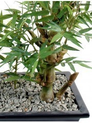 Bonsai artificiel bambou
