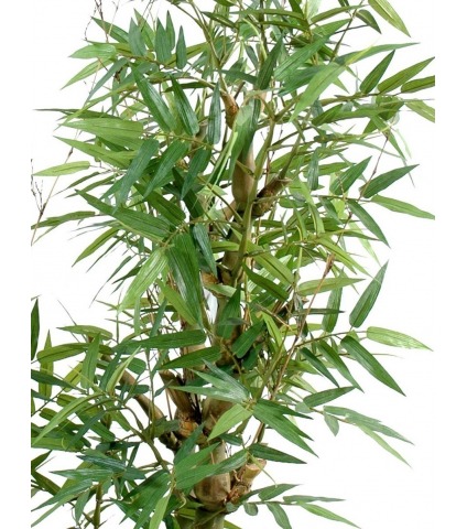Bonsai artificiel bambou