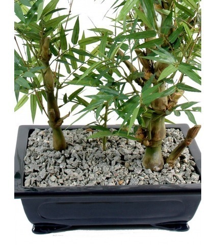 Bonsai artificiel bambou