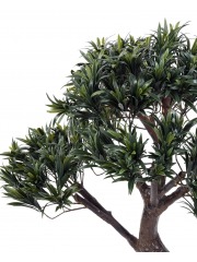 Podocarpus artificiel large