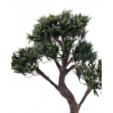 Podocarpus artificiel large
