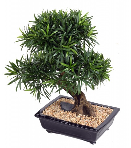 Bonsaï artificiel podcarpus