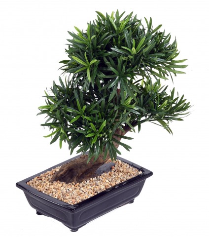 Bonsaï artificiel podcarpus