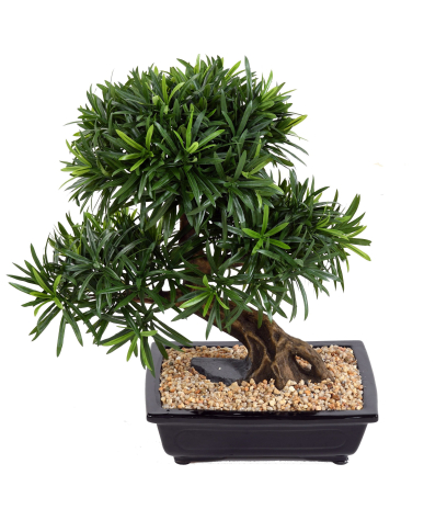 Bonsaï artificiel podcarpus
