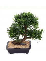Bonsaï artificiel podcarpus