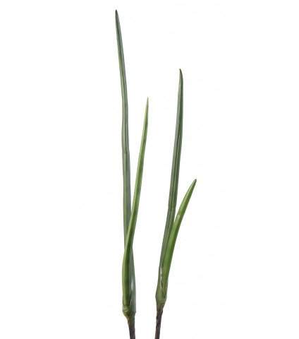 Sansevière artificielle sur piquet