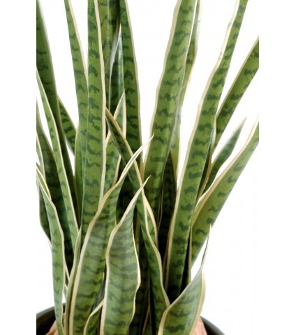 Sansevieria artificiel langue de belle mère