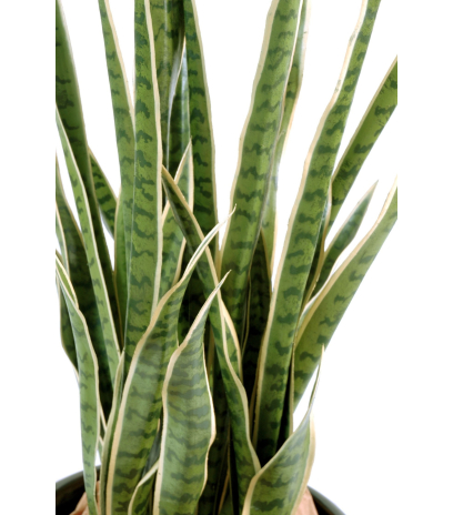 Sansevieria artificiel langue de belle mère