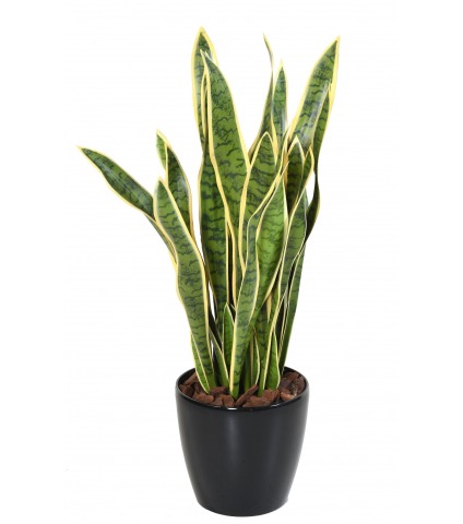 Sansevieria artificiel large vert et jaune
