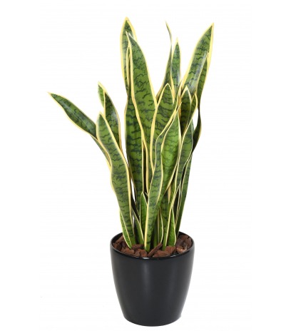 Sansevieria artificiel large vert et jaune