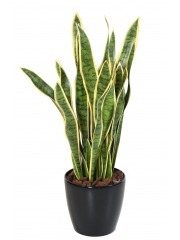 Sansevieria artificiel large vert et jaune