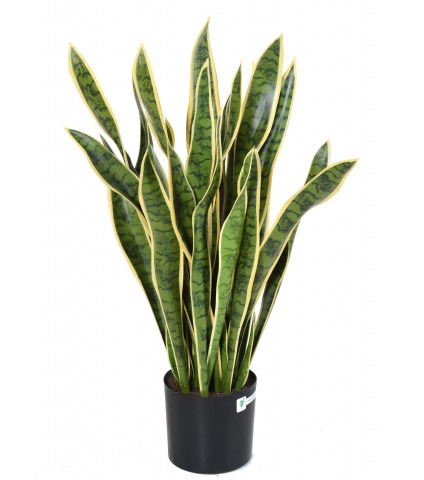 Sansevieria artificiel large vert et jaune