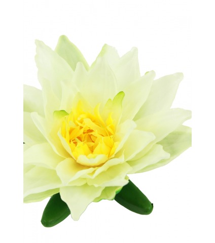 Nénuphar artificiel