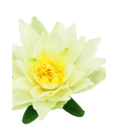 Nénuphar artificiel