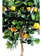 Oranger artificiel buisson