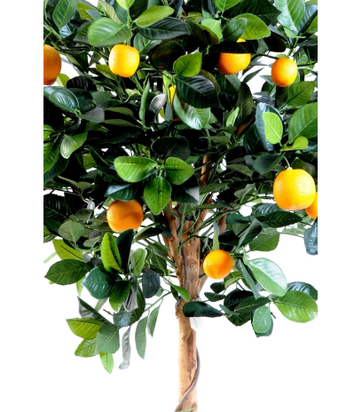 Oranger artificiel buisson