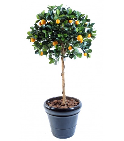 Oranger artificiel buisson